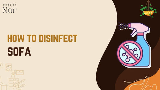 How To Disinfect Sofa